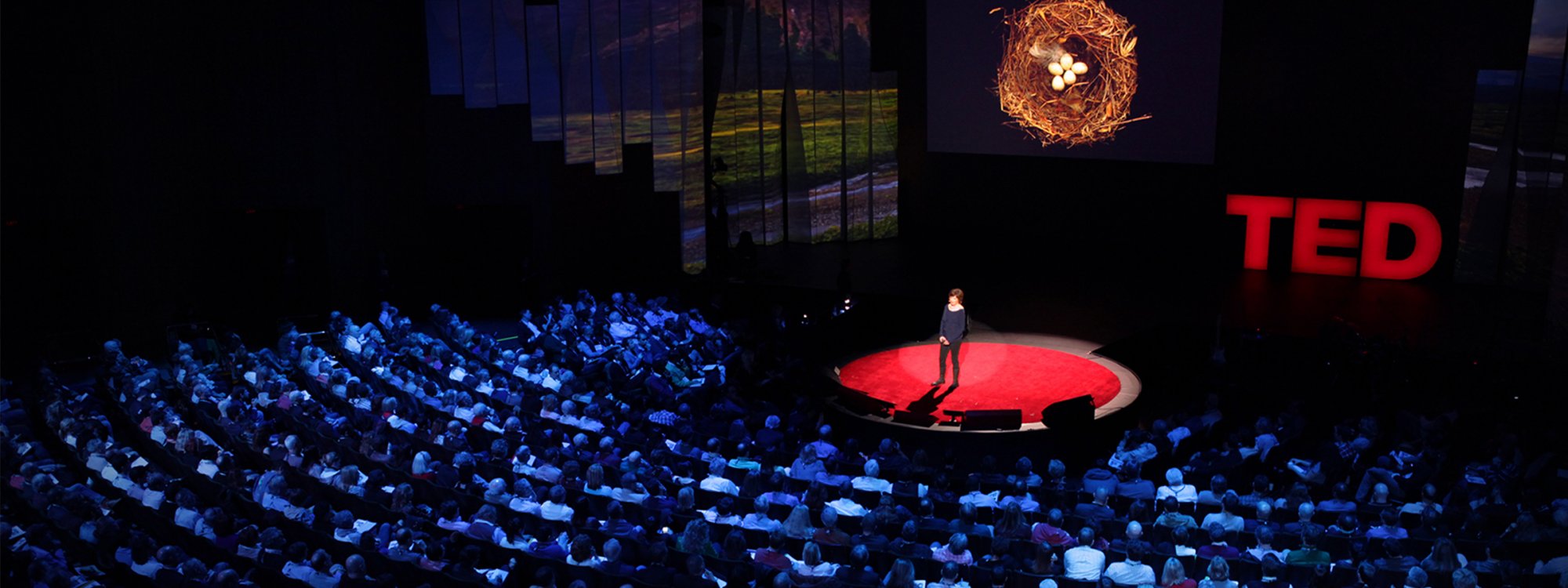 Top 10 TED Talks You Need to See - SiDCOR